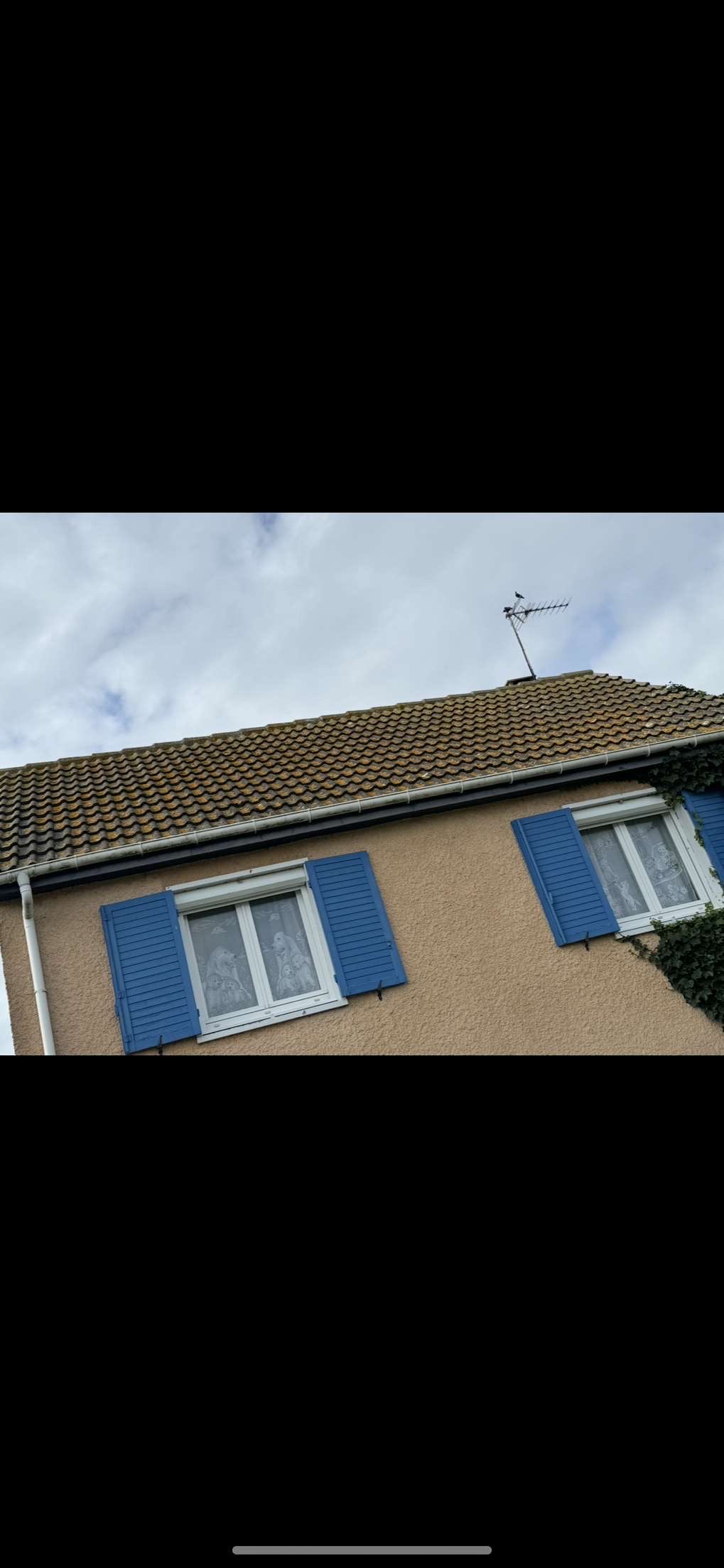 Réalisation PLB Toiture 16